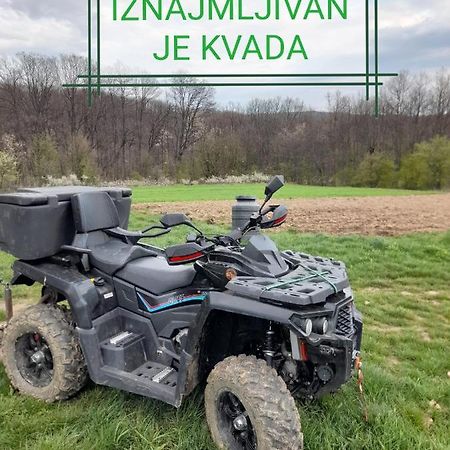 Vila Etno Kuca Badejevic Plavna Exteriér fotografie