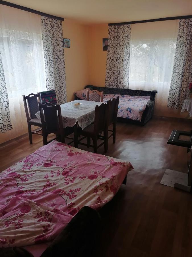 Vila Etno Kuca Badejevic Plavna Exteriér fotografie