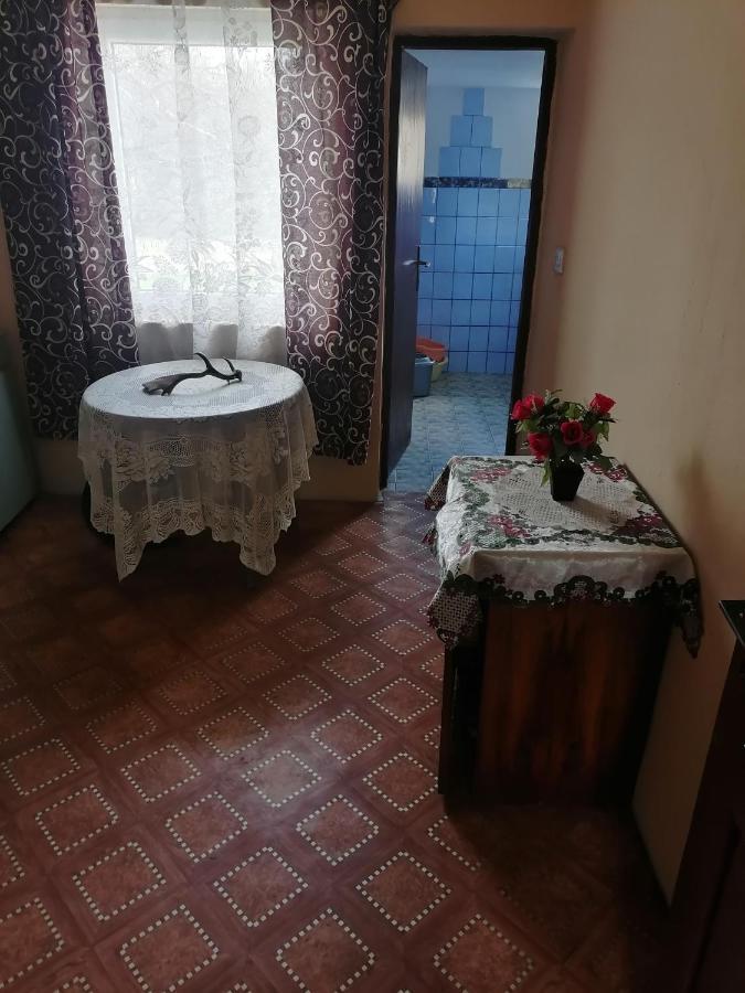 Vila Etno Kuca Badejevic Plavna Exteriér fotografie