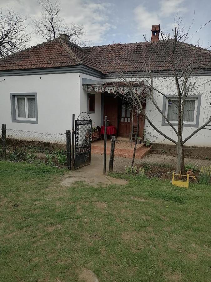 Vila Etno Kuca Badejevic Plavna Exteriér fotografie