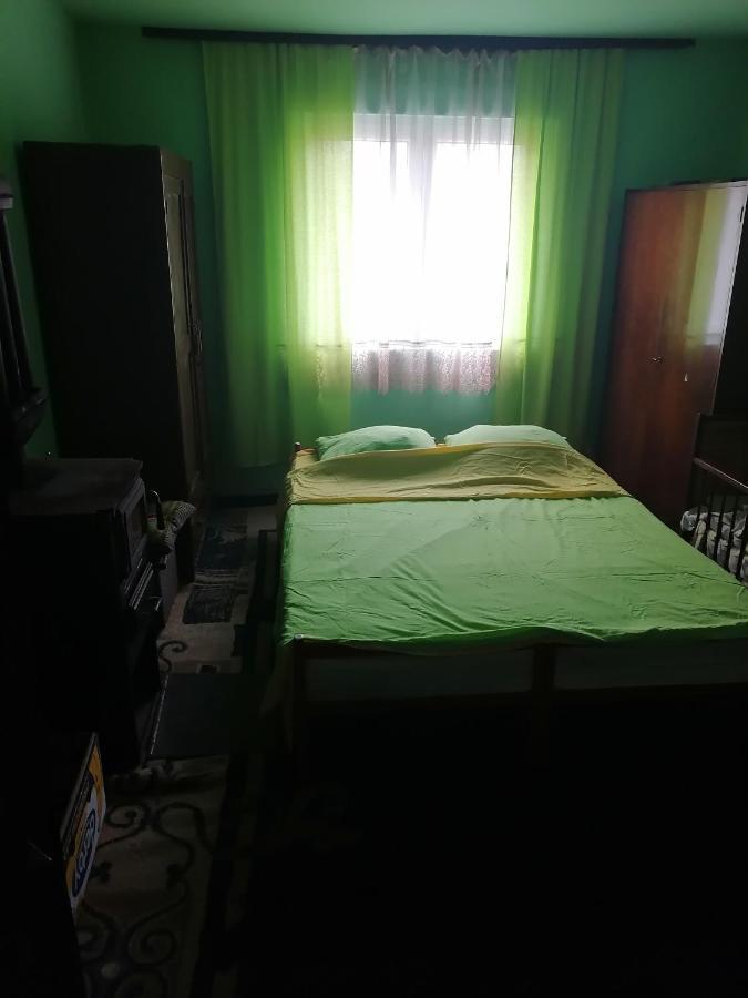 Vila Etno Kuca Badejevic Plavna Exteriér fotografie
