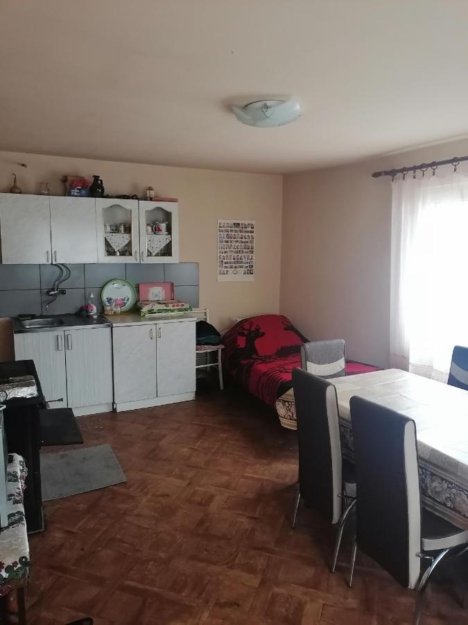 Vila Etno Kuca Badejevic Plavna Exteriér fotografie