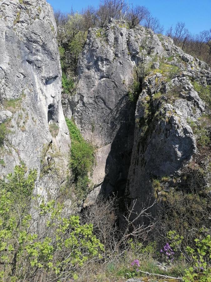 Vila Etno Kuca Badejevic Plavna Exteriér fotografie