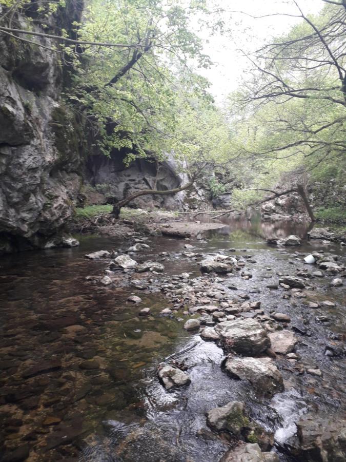 Vila Etno Kuca Badejevic Plavna Exteriér fotografie