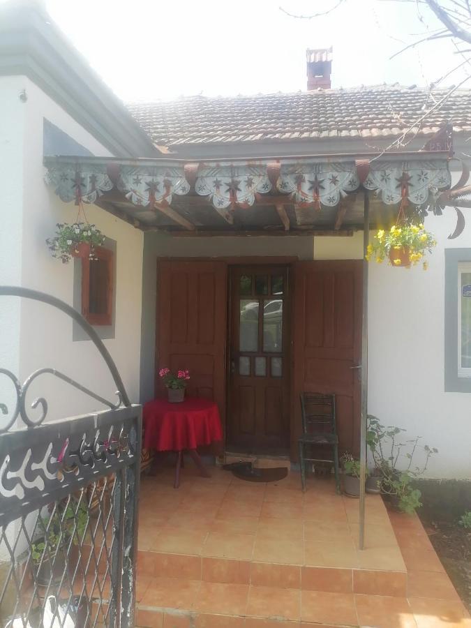 Vila Etno Kuca Badejevic Plavna Exteriér fotografie