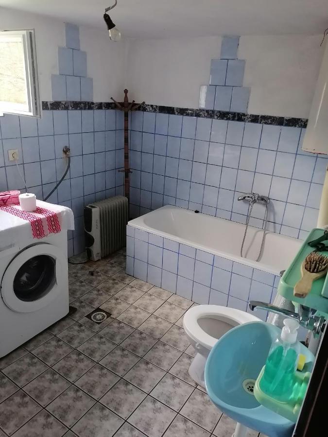 Vila Etno Kuca Badejevic Plavna Exteriér fotografie