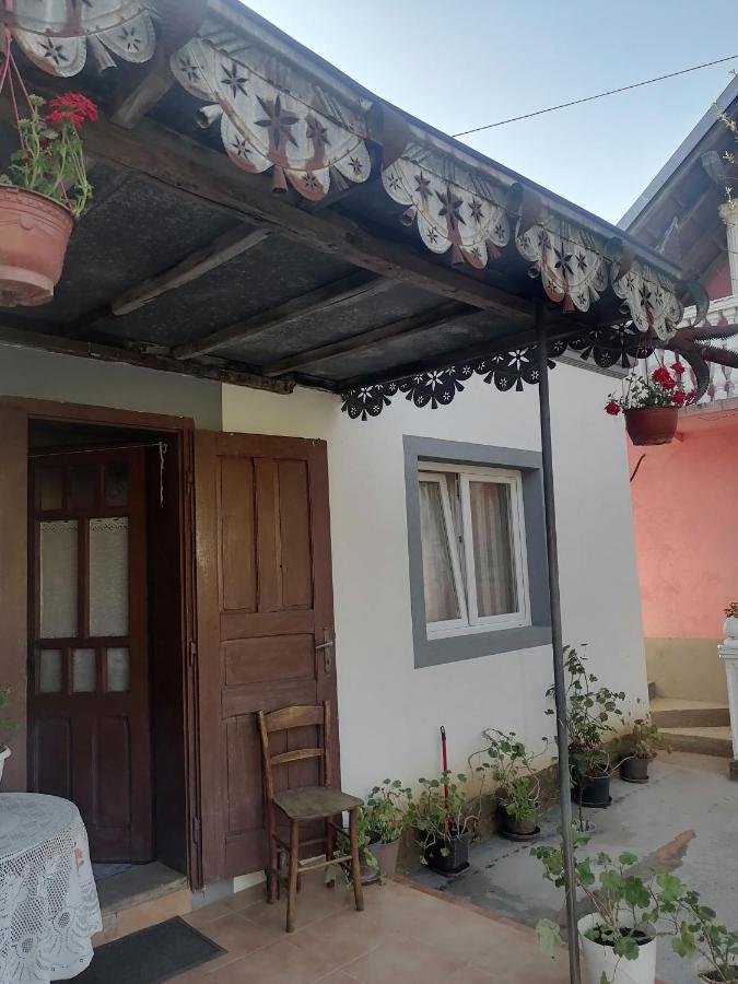 Vila Etno Kuca Badejevic Plavna Exteriér fotografie